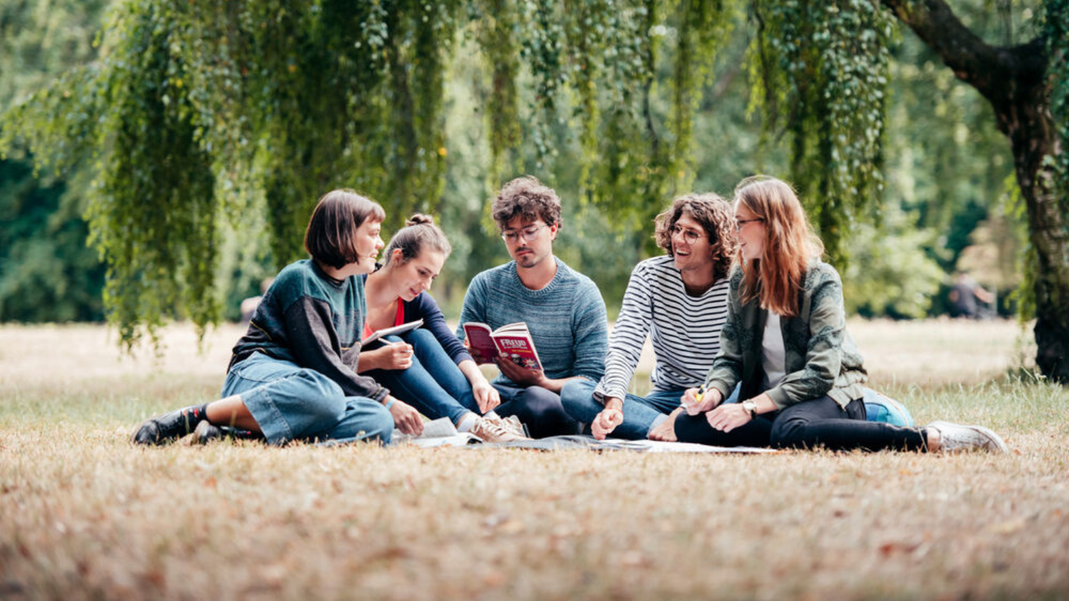 Studierende sitzen auf einer Decke im Park